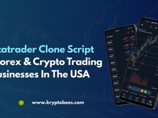 metatrader-clone-script-for-forex-crypto-trading-businesses-in-the-usa