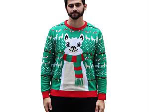 cat-christmas-sweater