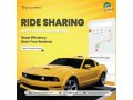 taxi-operations-with-the-ideal-ride-hailing-app-small-4