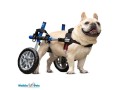 walkin-wheels-small-0