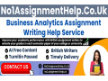 business-analytics-assignment-help-by-no1assignmenthelpcouk-small-0