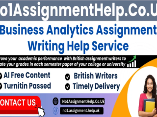 business-analytics-assignment-help-by-no1assignmenthelpcouk
