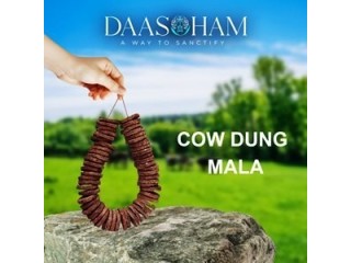 Cow Dung Patties