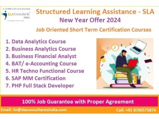 Data Analyst Course in Delhi with Free Python/ R Program by SLA Consultants Institute in Delhi, NCR,100% Placement, TCS Data Science Professional