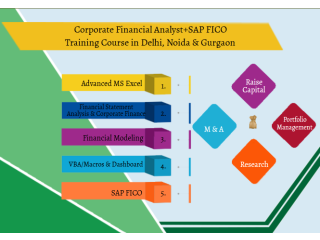 Financial Modelling Certification Course in Delhi, 110063. Best Online Live Financial Analyst Training in Pune by IIT Faculty , [ 100% Job in MNC]