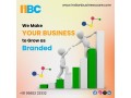 boost-your-business-with-quality-b2b-leads-indian-business-care-small-0