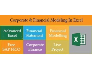 Financial Modeling Certification Course in Delhi,110052. Best Online Live Financial Analyst Training in Haridwar by IIT Faculty , [ 100% Job in MNC]