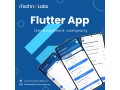 famous-flutter-app-development-company-in-san-francisco-itechnolabs-small-0