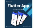 itechnolabs-tailored-flutter-app-development-company-in-california-small-0