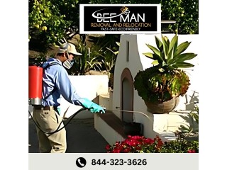 Bee Hive Removal San Diego CA