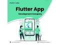 well-versed-flutter-app-development-company-in-california-itechnolabs-small-0