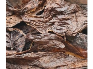Tobacco Leaf By Post
