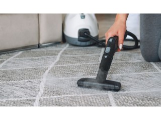 Carpet Cleaning Business Hollywood