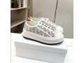 walkndior-platform-stone-gray-dior-oblique-embroidered-reps-small-1