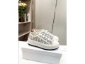 walkndior-platform-stone-gray-dior-oblique-embroidered-reps-small-2