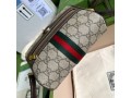 gucci-ophidia-gg-supreme-mini-bag-reps-small-1