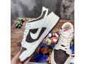 nike-sb-dunk-low-sneaker-small-1