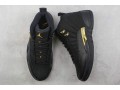 the-air-jordan-12-stealth-small-2