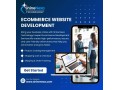 leading-website-development-and-digital-company-in-india-shine-nexa-technology-small-3
