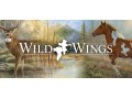 wild-wings-small-0