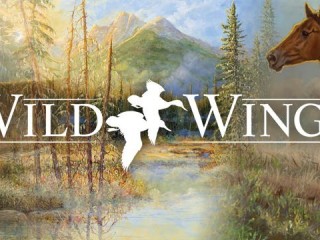 wild-wings
