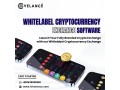 white-label-crypto-exchange-software-for-quick-market-entry-small-0