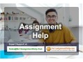 assignment-help-get-online-services-at-no1assignmenthelpcom-small-0