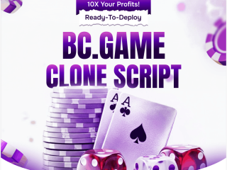 bcgame-clone-script-with-free-consultation-mini-games