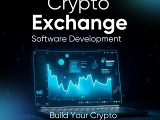 professional-crypto-exchange-software-development-providers