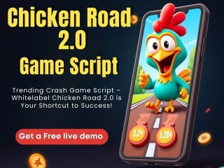 chicken-road-20-script-cost-effective-way-to-enter-the-casino-market